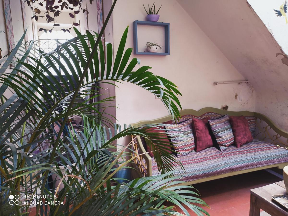 Casa Atenas Guadalajara Exterior foto